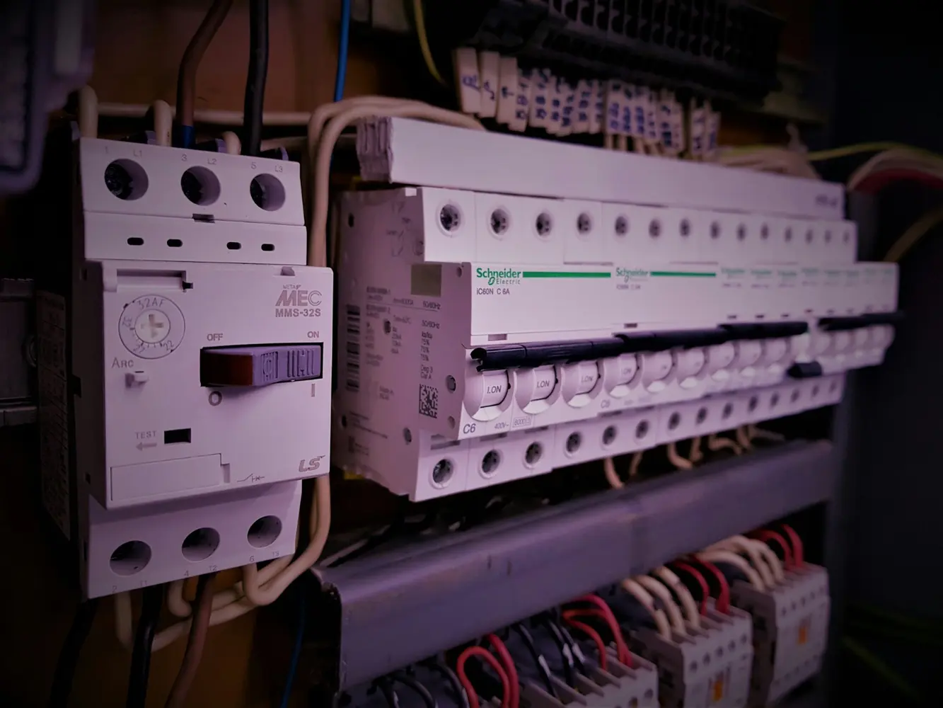 Electrical panel with protection devices